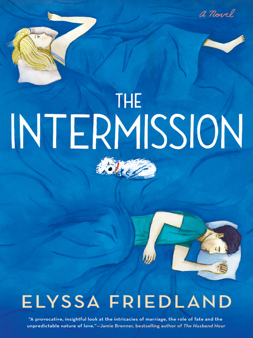 Title details for The Intermission by Elyssa Friedland - Available